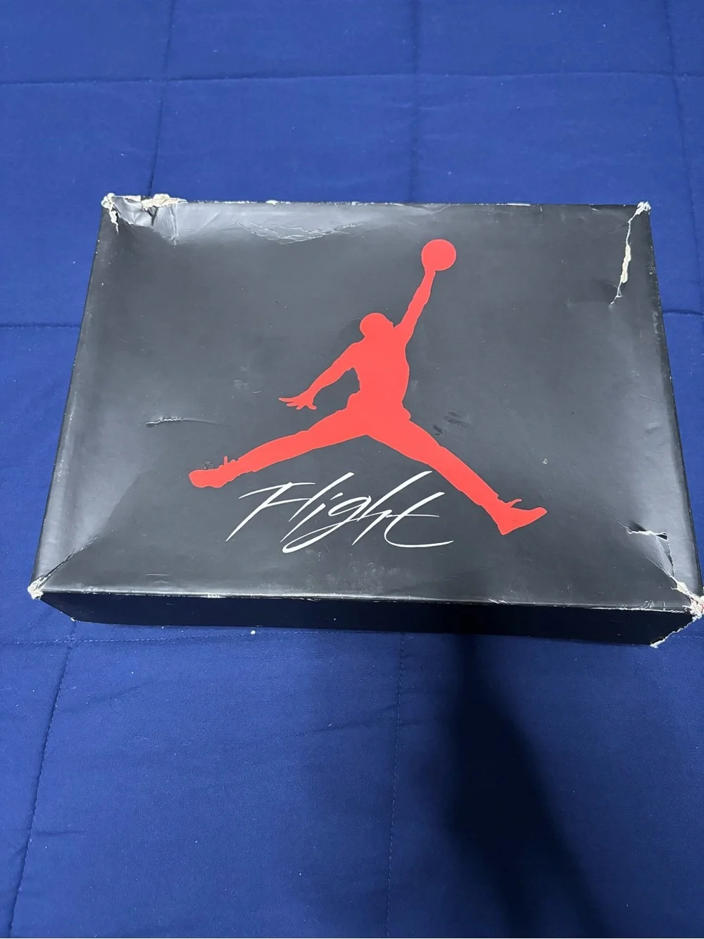 Jordan 12 retro